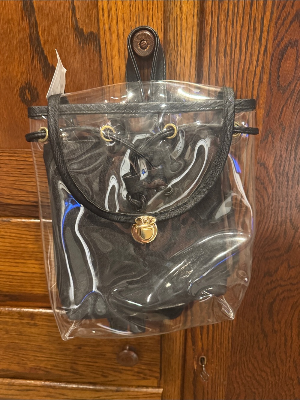 Mod Clear Backpack with Black Trim and Gold Hardware